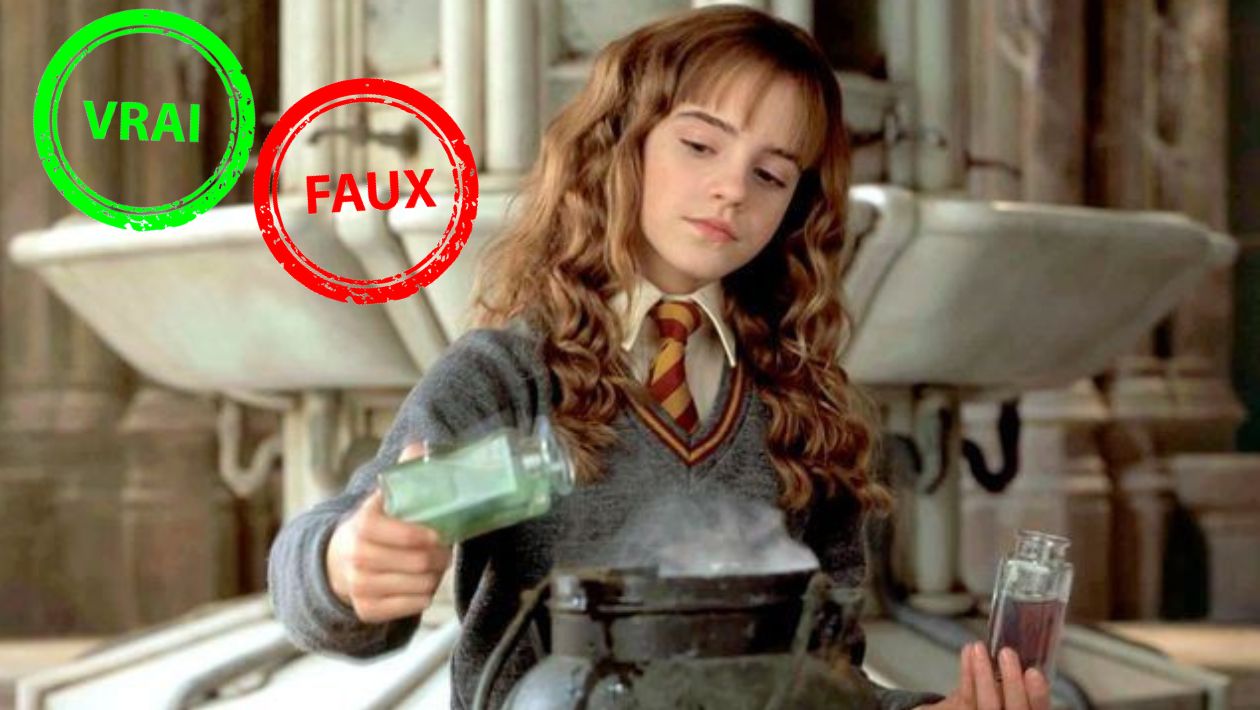 Harry Potter : t&rsquo;es un moldu si tu ne sais pas si cette réplique d&rsquo;Hermione existe