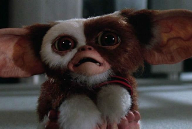 Gremlins est le film de ton enfance si tu as 5/5 à ce quiz