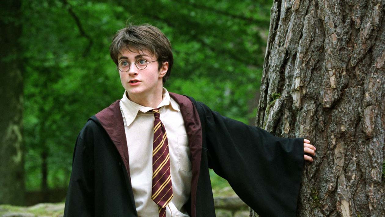 Harry Potter : seul un vrai fan aura 7/10 ou plus à ce quiz sur Harry