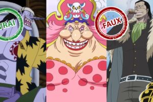 One Piece : seul un vrai aura 10/10 à ce quiz vrai ou faux sur les méchants de l’anime