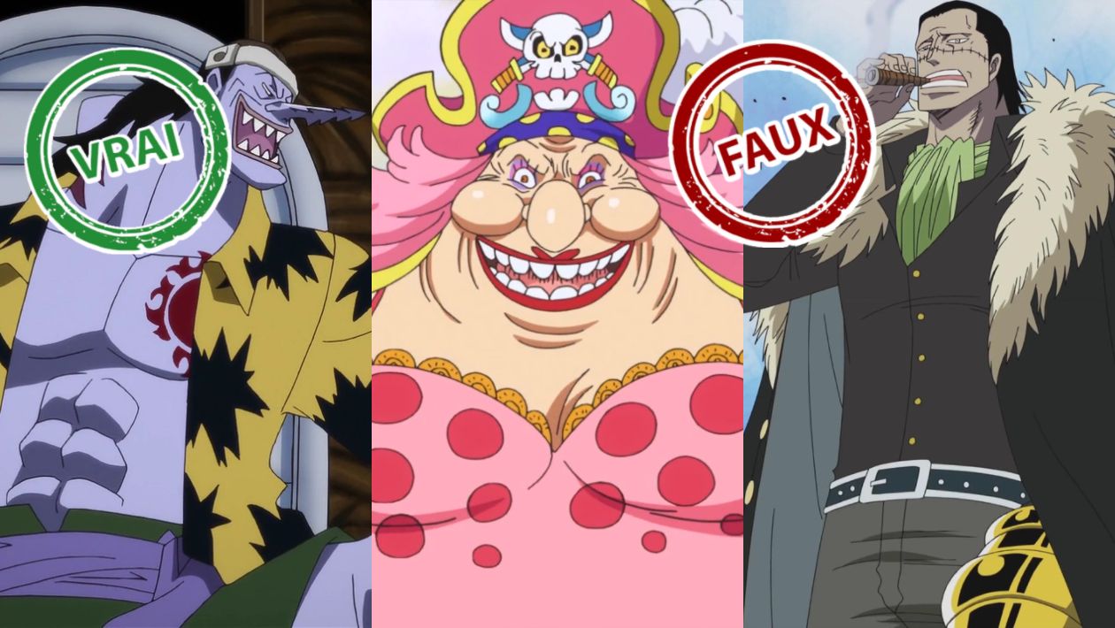 One Piece : seul un vrai aura 10/10 à ce quiz vrai ou faux sur les méchants de l’anime