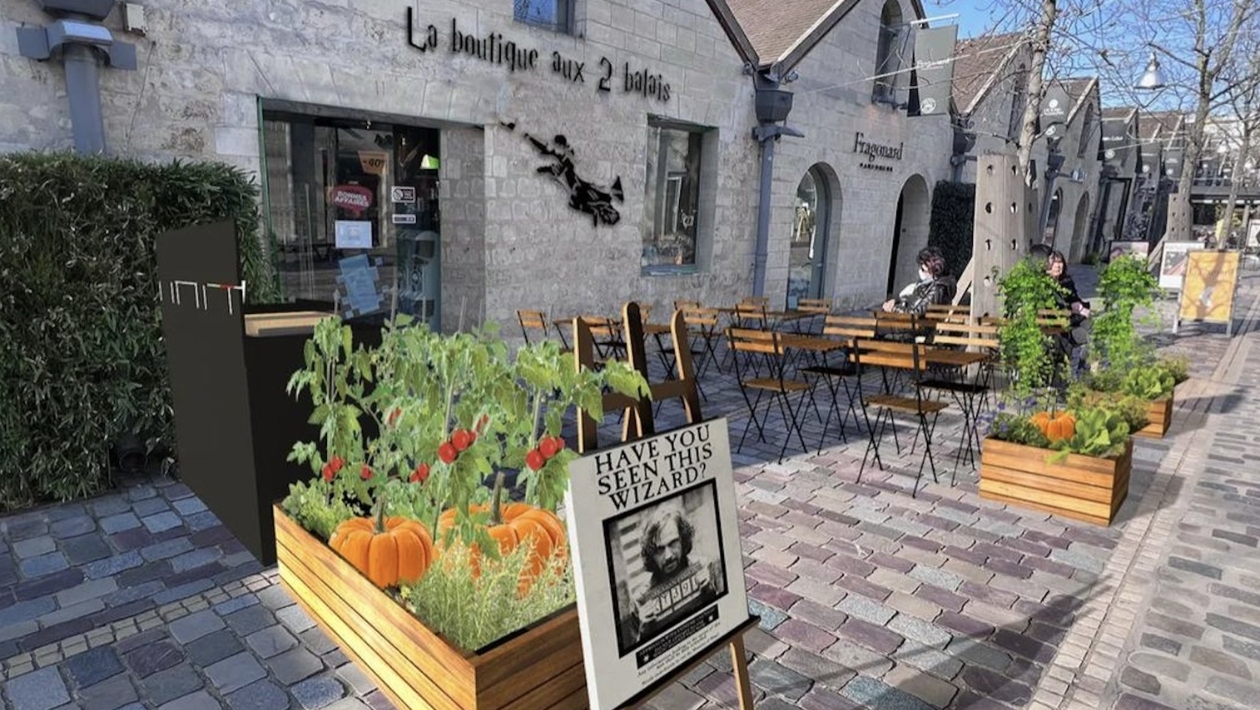 Harry Potter : un coffee shop avec sa boutique immersive va ouvrir à Paris