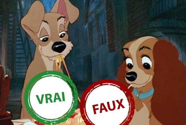 La Belle et le Clochard : seul un fan aura 10/10 à ce quiz vrai ou faux sur le film Disney