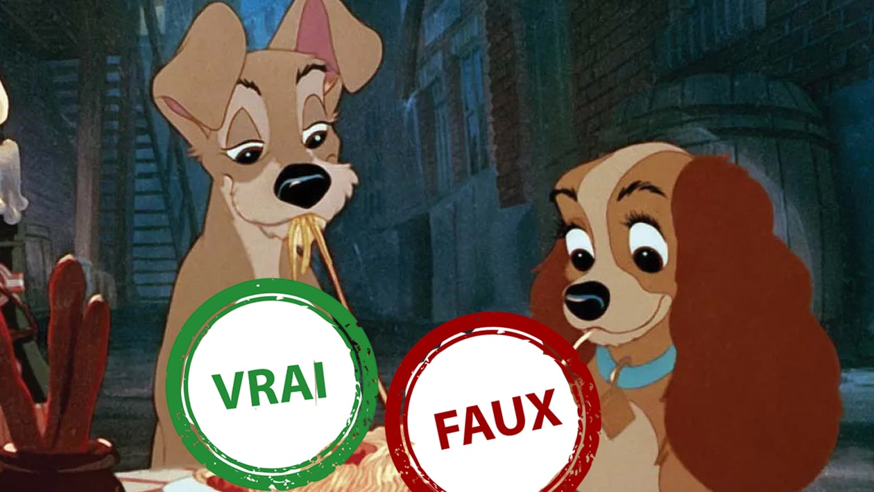 La Belle et le Clochard : seul un fan aura 10/10 à ce quiz vrai ou faux sur le film Disney