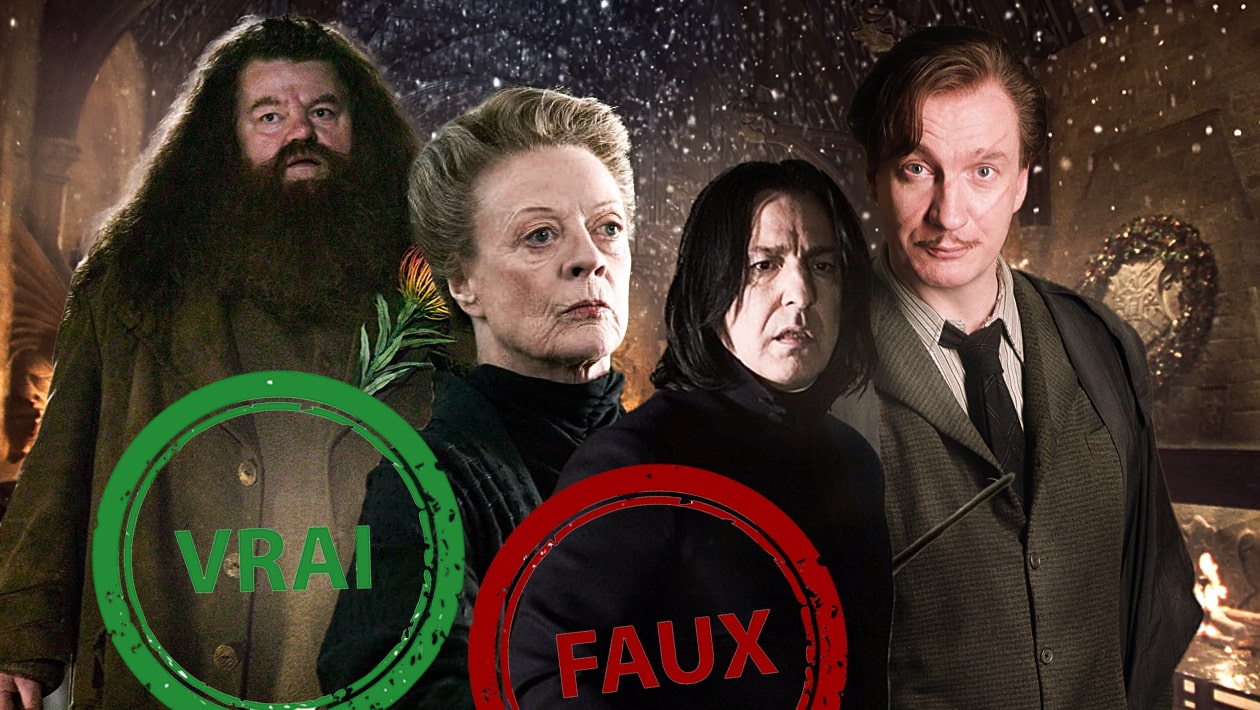 Harry Potter : seul un fan aura 10/10 à ce quiz vrai faux sur les profs de Poudlard