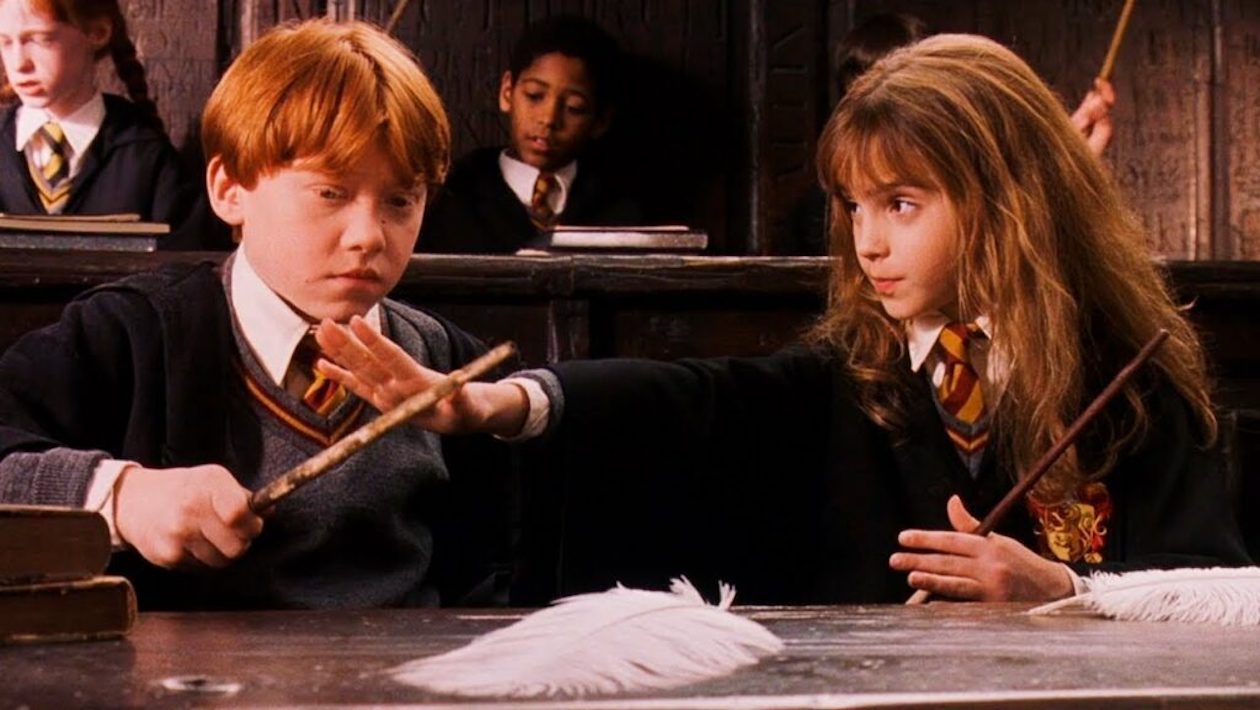 Quiz : dis-nous ton mois de naissance, on te dira quelle serait ta baguette magique dans Harry Potter