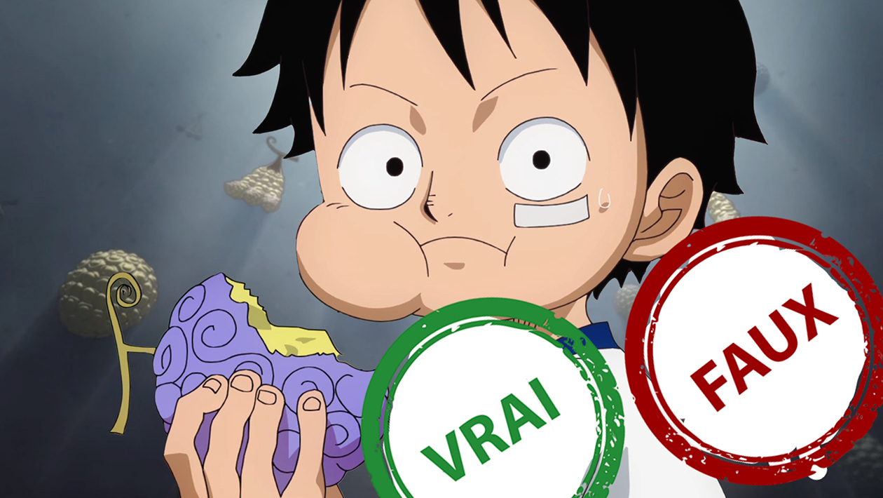 One Piece : seul un fan aura 5/5 à ce quiz vrai ou faux sur les Fruits du Démon