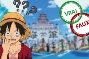 Tu as grandi avec One Piece si tu as 7/10 ou plus à ce quiz vrai faux sur Marine Ford