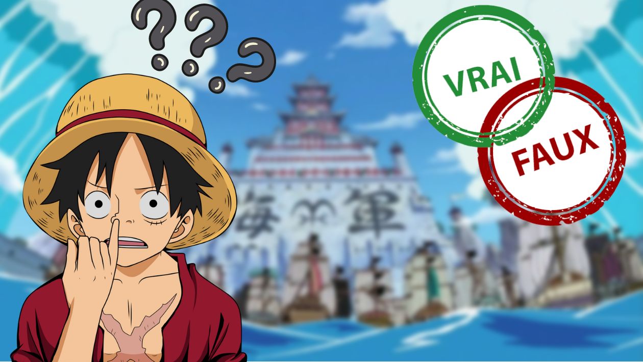 Tu as grandi avec One Piece si tu as 7/10 ou plus à ce quiz vrai faux sur Marine Ford