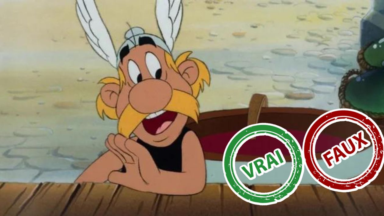 Astérix : impossible d&rsquo;avoir 5/5 à ce quiz vrai ou faux sur le gaulois