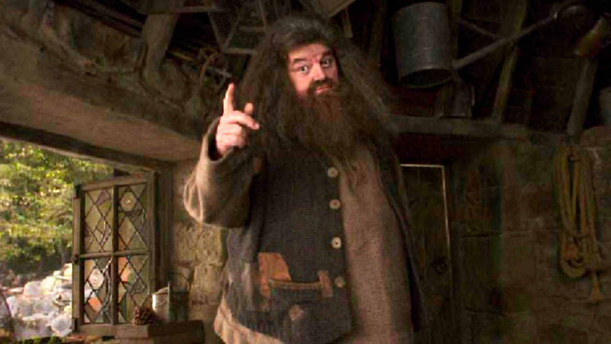 Hogwarts Legacy : les fans repèrent un hommage à Robbie Coltrane (Hagrid) dans le jeu