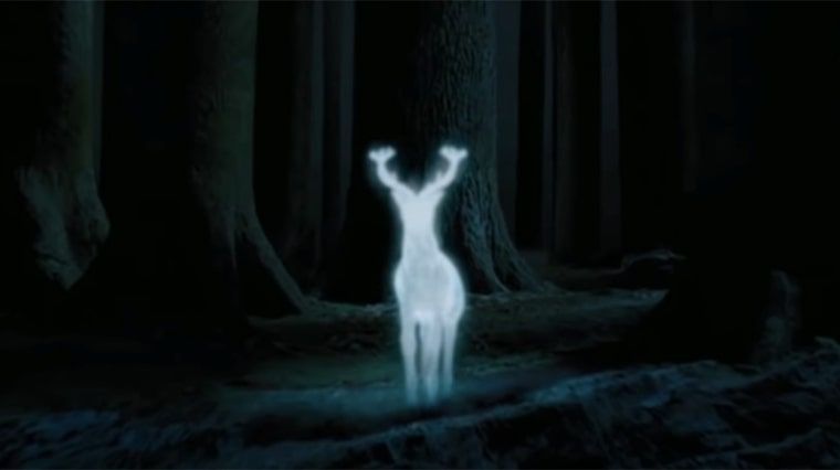 le patronus du cerf dans harry potter