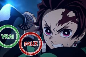 Quiz Demon Slayer : seul un fan aura 7/10 ou plus à ce Vrai ou Faux sur Tanjiro