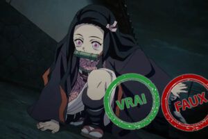 Demon Slayer : seul Tanjiro aura 10/10 à ce quiz Vrai ou Faux sur Nezuko