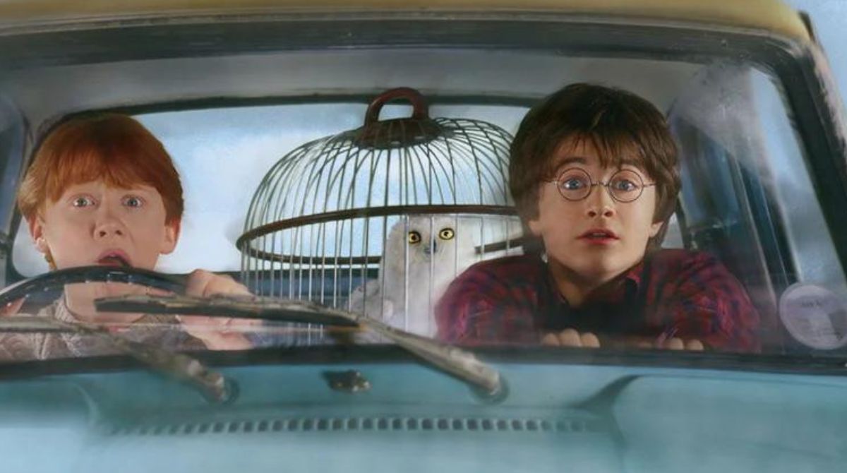 harry potter et la chambre des secrets, harry potter, ron weasley, voiture volante, daniel radcliffe, rupert grint