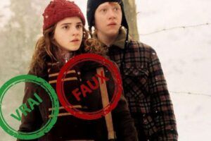 Même Harry Potter n&rsquo;aura pas 10/10 à ce quiz vrai ou faux sur Ron et Hermione