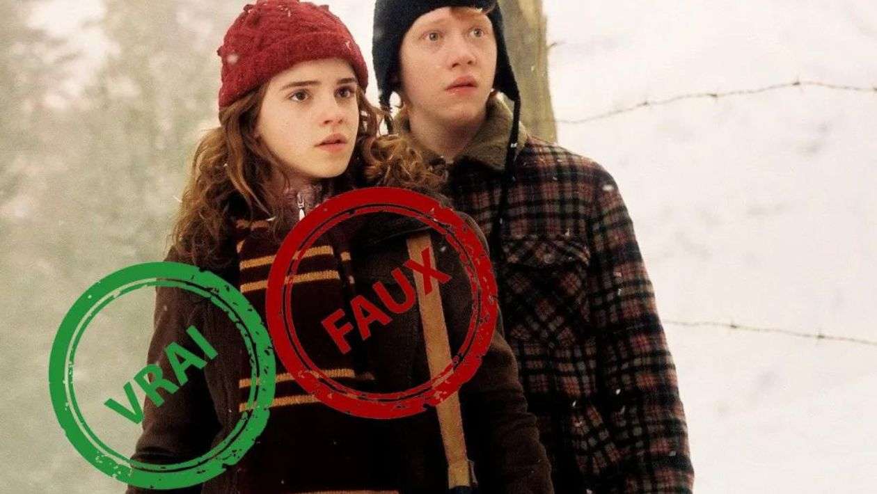 Même Harry Potter n&rsquo;aura pas 10/10 à ce quiz vrai ou faux sur Ron et Hermione