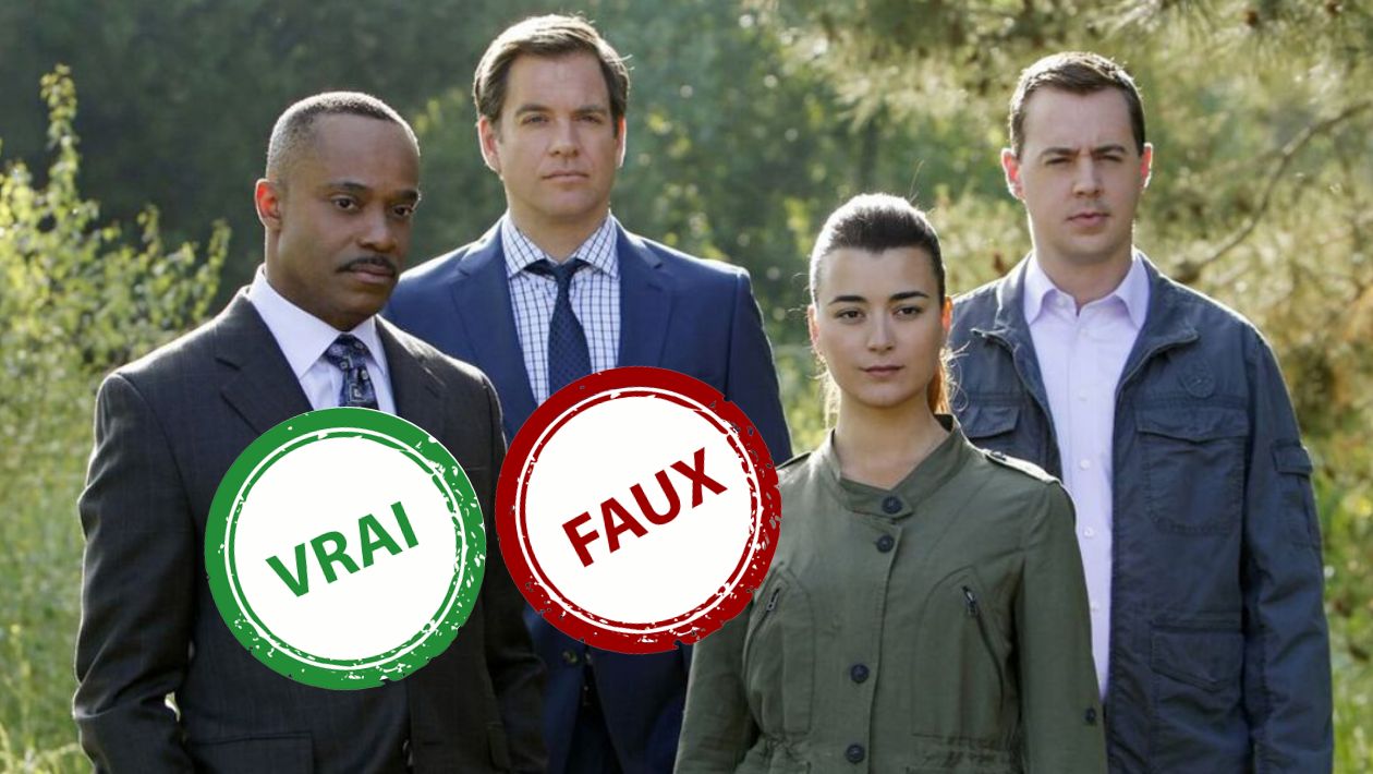 Quiz NCIS : seul un fan de la série aura 10/10 à ce quiz vrai ou faux