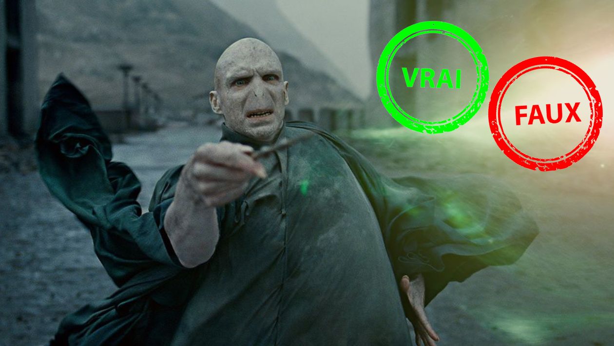 Harry Potter : t&rsquo;es un moldu si t&rsquo;as moins de 15/20 à ce quiz vrai ou faux sur Voldemort