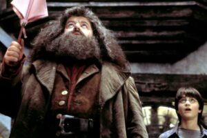 Harry Potter : Hagrid avait-il deviné qu&rsquo;Harry était un Horcruxe ? #Théorie