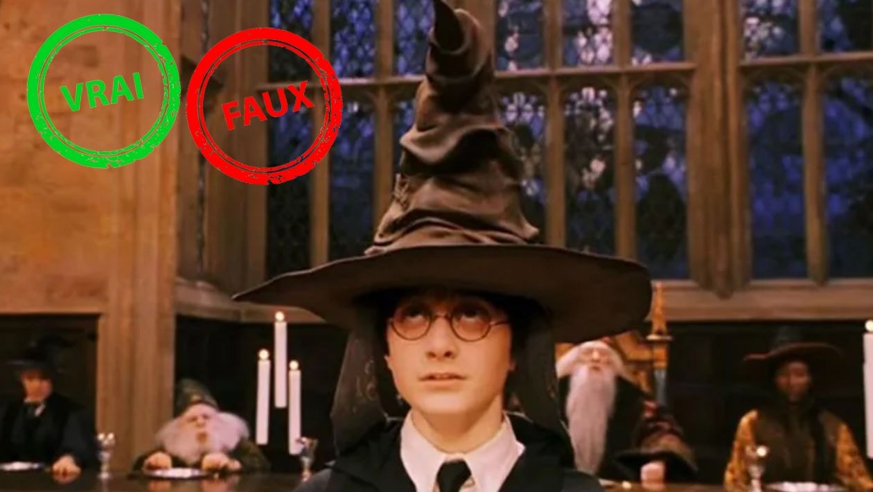 Harry Potter à Lécole Des Sorciers Seul Quelquun Qui A Vu 10 Fois