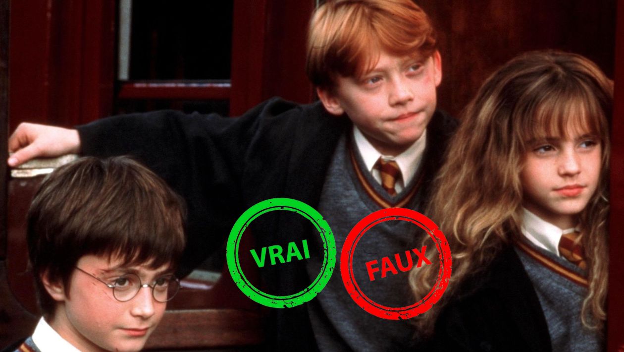 Harry Potter à l&rsquo;école des sorciers : seul quelqu&rsquo;un qui a vu 5 fois le film aura 5/5 à ce quiz vrai ou faux