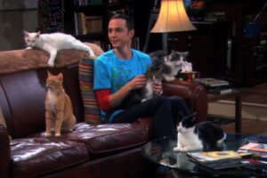 The Big Bang Theory : aviez-vous remarqué cette incohérence avec Sheldon et les chats ?