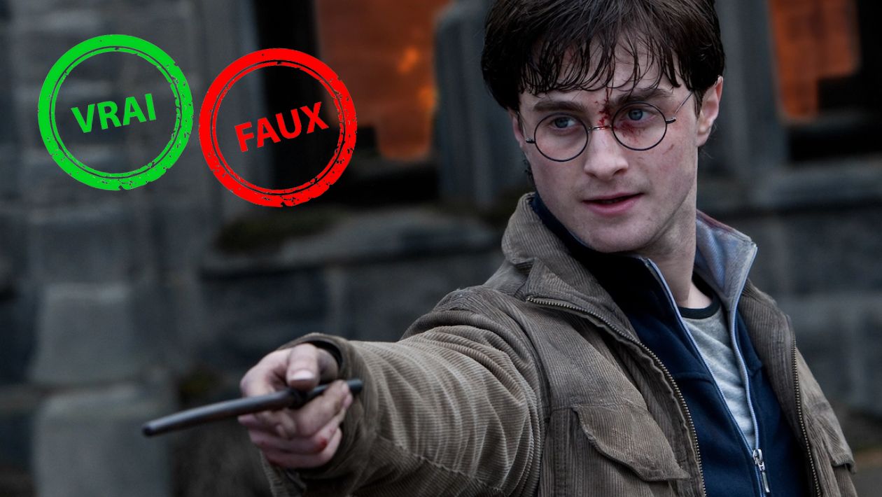 T&rsquo;es un sang-de-bourbe si tu as moins de 10/15 à ce quiz vrai ou faux sur Harry Potter