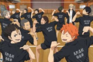 Quiz Haikyu!! : choisis une couleur et on te dira dans quelle équipe tu joues