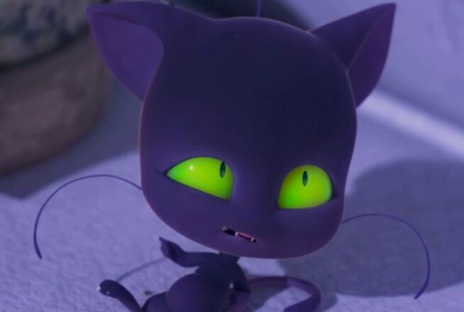 Miraculous : à quoi ressemble l&rsquo;acteur qui fait la voix de Plagg, le kwami de Chat Noir ?