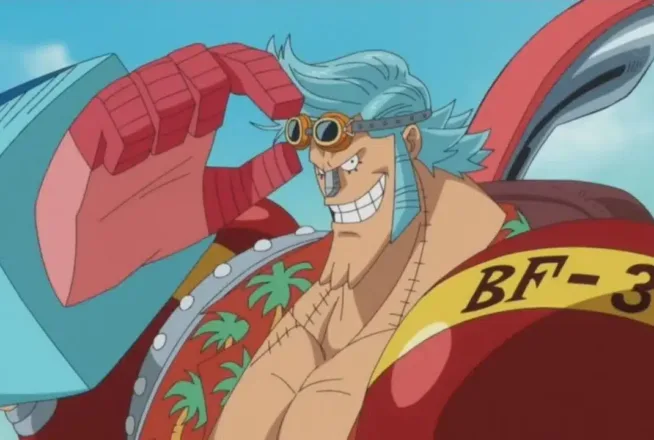 One Piece : seul Franky aura 10/10 à ce quiz sur le nom des navires