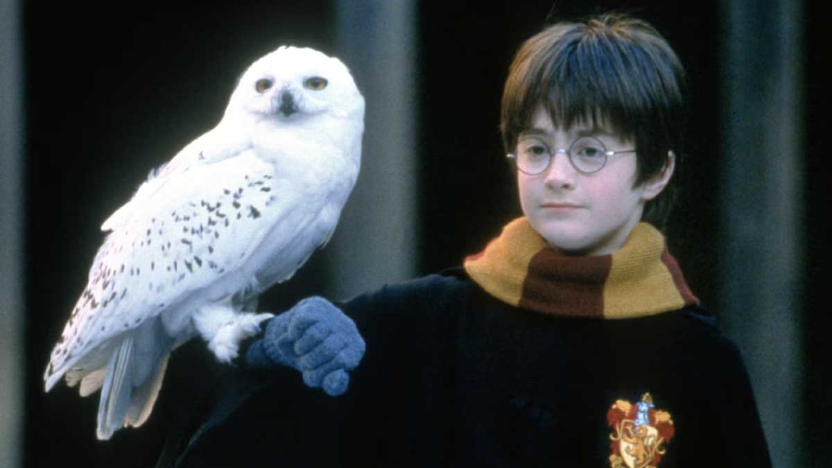 Harry Potter à l’école des sorciers : seul quelqu’un qui regarde le film tous les ans aura 5/5 à ce quiz