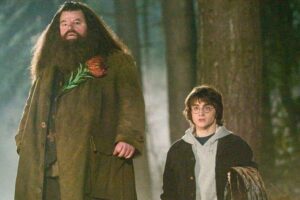 Harry Potter : le saviez-vous ? Ce n’est pas Robbie Coltrane qui joue Hagrid dans certaines scènes