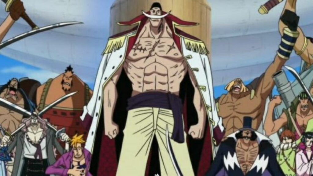 Les pirates de Barbe Blanche dans l'anime One Piece