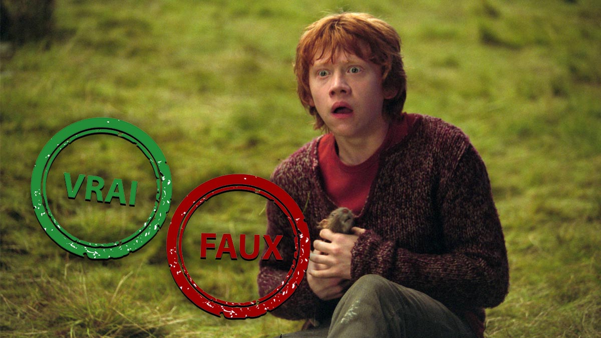 Quiz Harry Potter : t’es un Weasley si t’as plus de 7/10 à ce Vrai ou Faux sur Ron