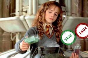 Harry Potter : seul un Gryffondor aura 5/5 à ce quiz vrai ou faux sur Hermione Granger