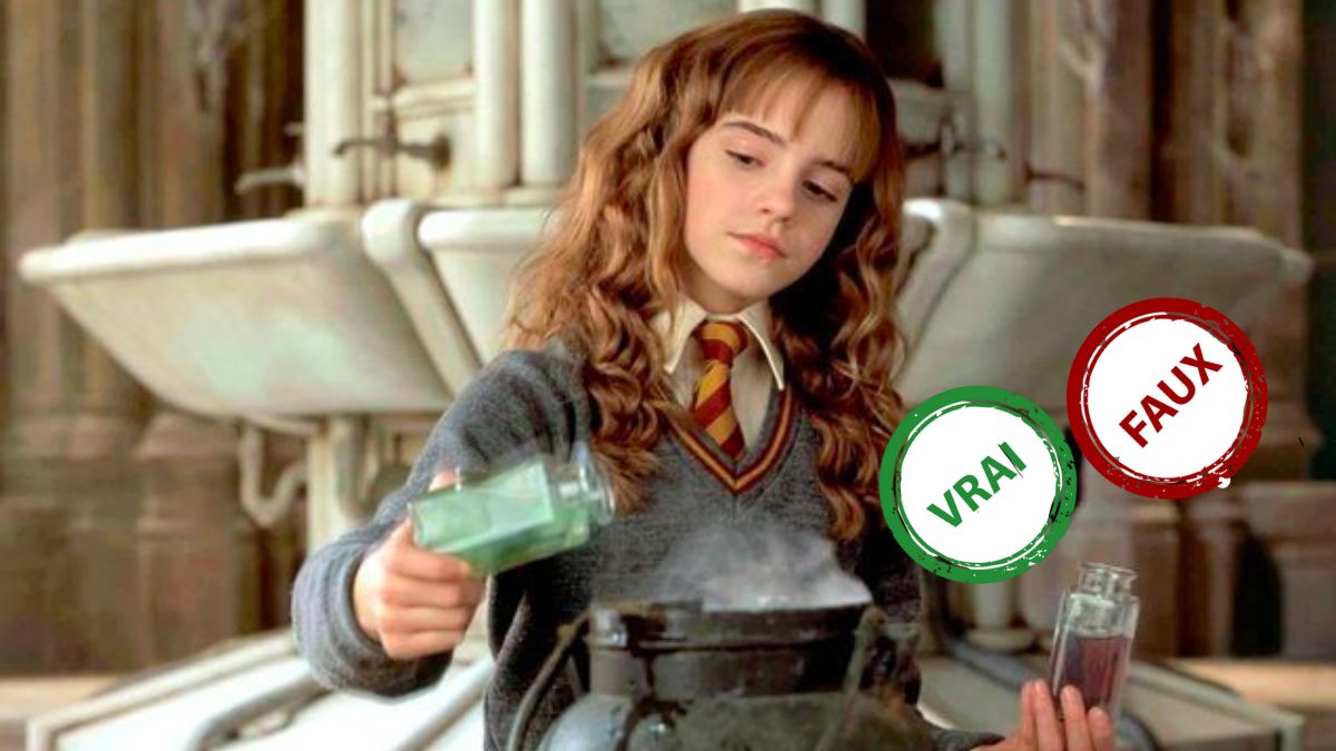 Harry Potter : seul un Gryffondor aura 5/5 à ce quiz vrai ou faux sur Hermione Granger