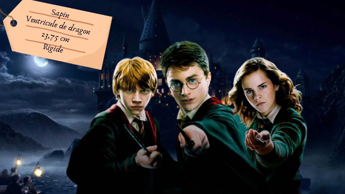 Quiz Harry Potter : tu es embauché chez Ollivander si tu relies ces 5 baguettes à leur propriétaire