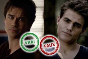 The Vampire Diaries : seul un Salvatore aura plus de 10/15 à ce quiz vrai ou faux sur Stefan et Damon