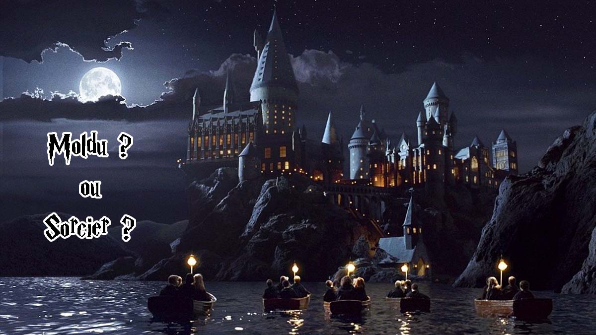 Harry Potter : t’es un moldu si t’as pas 5/5 à ce quiz sur Poudlard