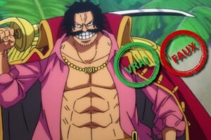 One Piece : tu deviens le roi des pirates si tu as 10/10 à ce quiz vrai ou faux sur Gol D. Roger