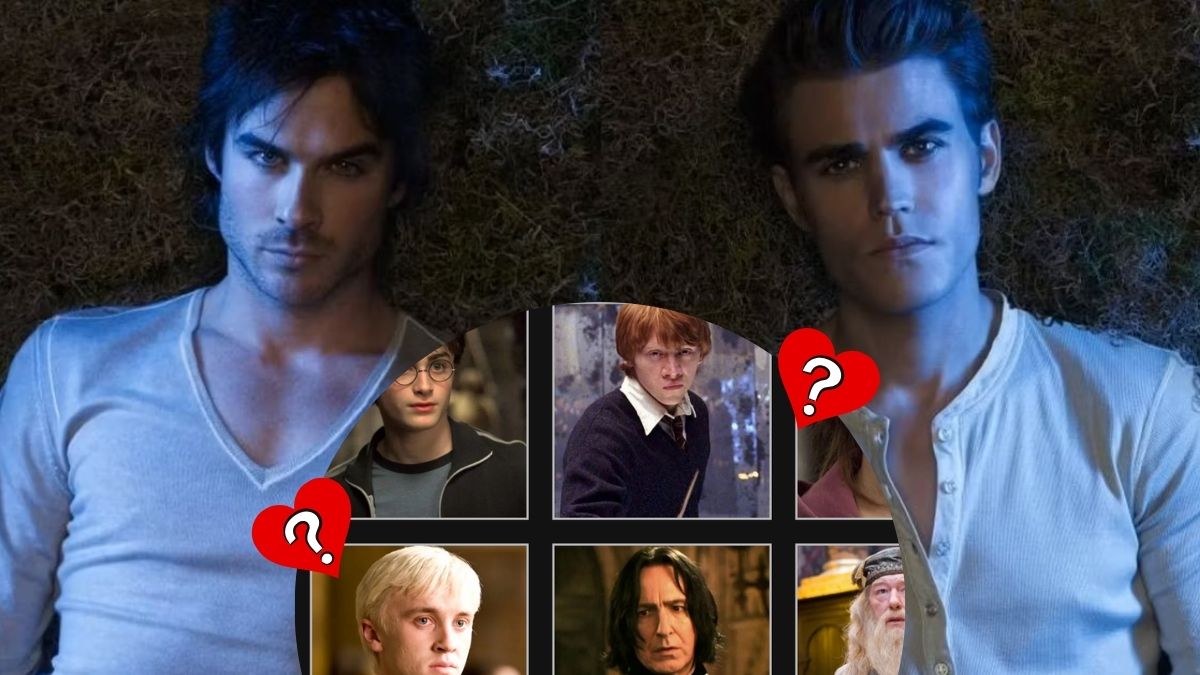 Quiz : élimine un personnage Harry Potter et on te dit si tu épouses Damon ou Stefan Salvatore dans The Vampire Diaries