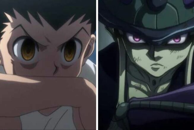 Quiz Hunter x Hunter : on devine si tu préfères Gon ou Meruem en 3 questions