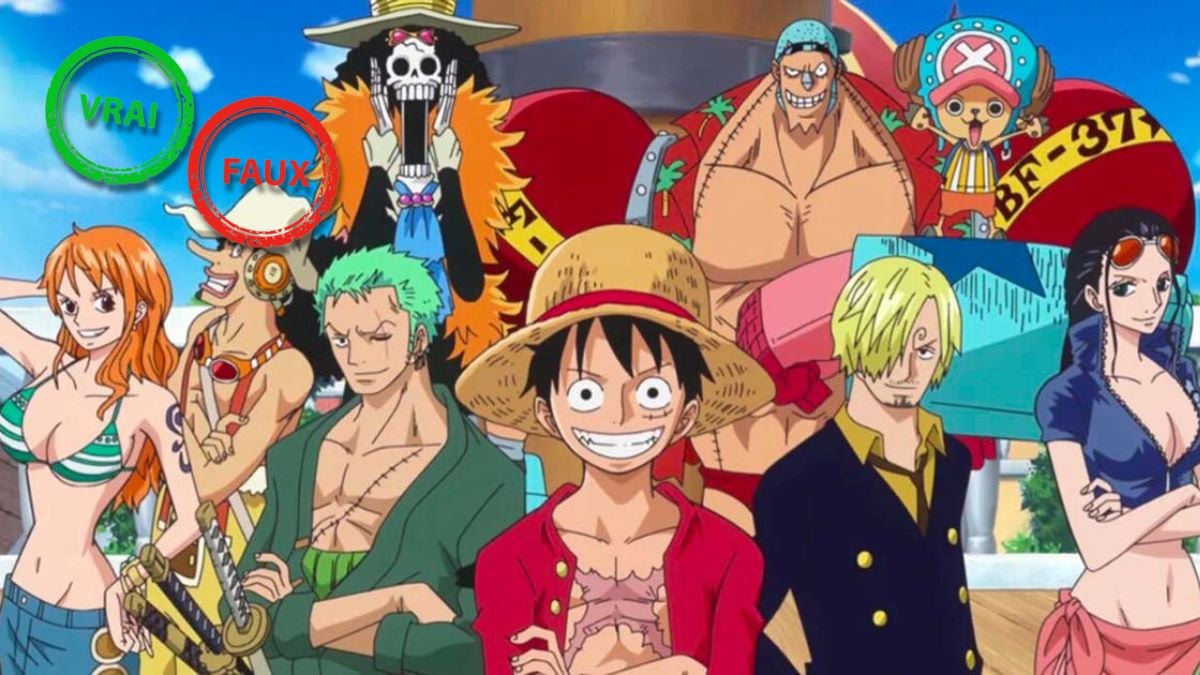 One Piece : tu intègres la bande de Luffy si tu as 10/10 à ce quiz vrai ou faux sur l&rsquo;équipage du Chapeau de Paille