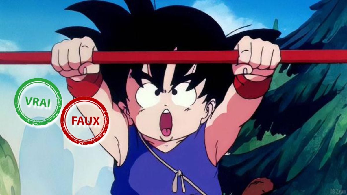 T'as passé ta jeunesse devant Dragon Ball si t'as 10/10 à ce quiz vrai ou faux sur l'enfance de Goku