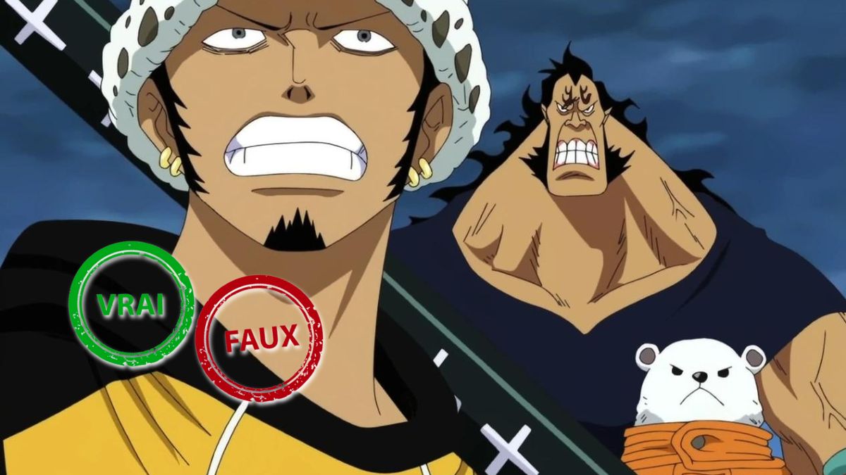 One Piece : seul un Empereur aura 10/10 à ce quiz en vrai ou faux sur l&rsquo;équipage du Heart