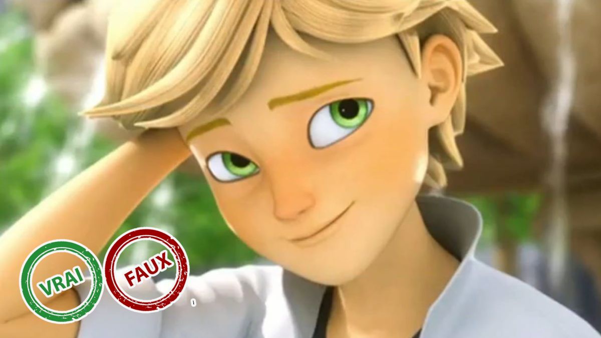 Quiz Miraculous : seule Marinette aura 5/5 à ce quiz vrai ou faux sur Adrien