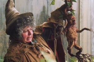 Harry Potter : « C’est pour les enfants », Miriam Margolyes (Chourave) se dit inquiète pour les fans adultes de la saga