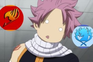 Quiz Fairy Tail : choisis 5 mages, on te dira dans quelle guilde tu es