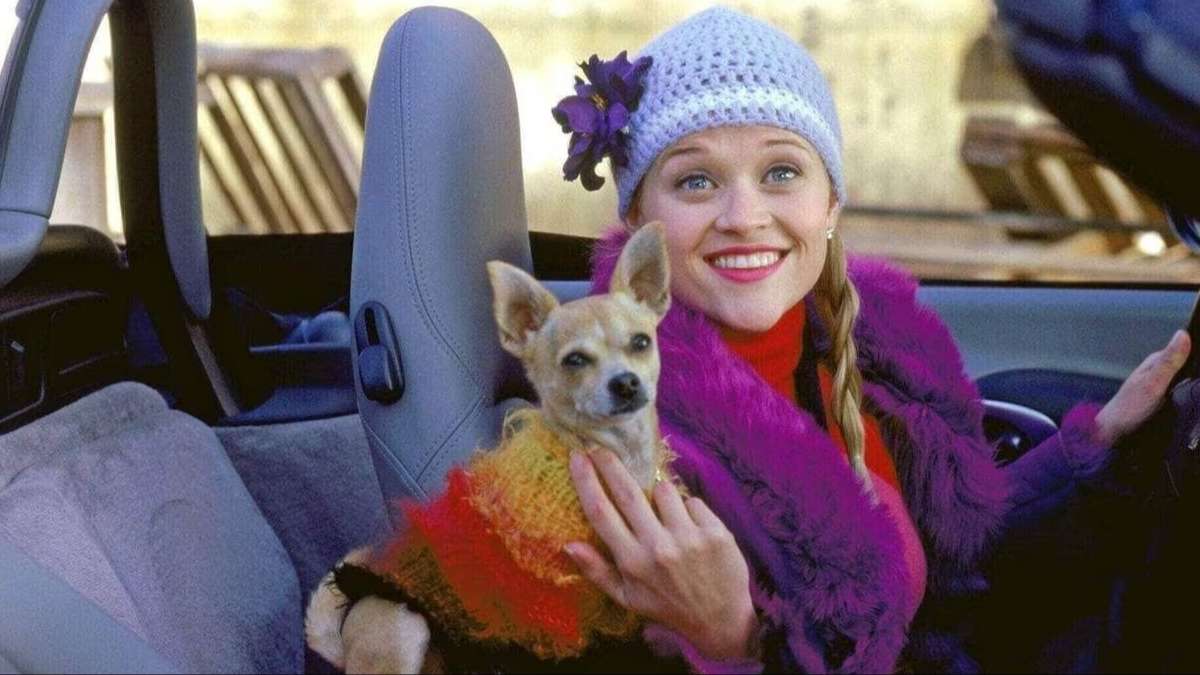 La Revanche d&rsquo;une blonde : le film culte des années 2000 va être adapté en série